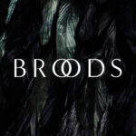 Broods-we-had-everything-skyelyfe