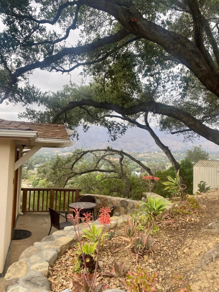 beautiful nature in ojai, lush green