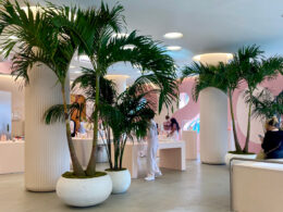 glossier's la store on melrose ave is filled with palm trees and open space