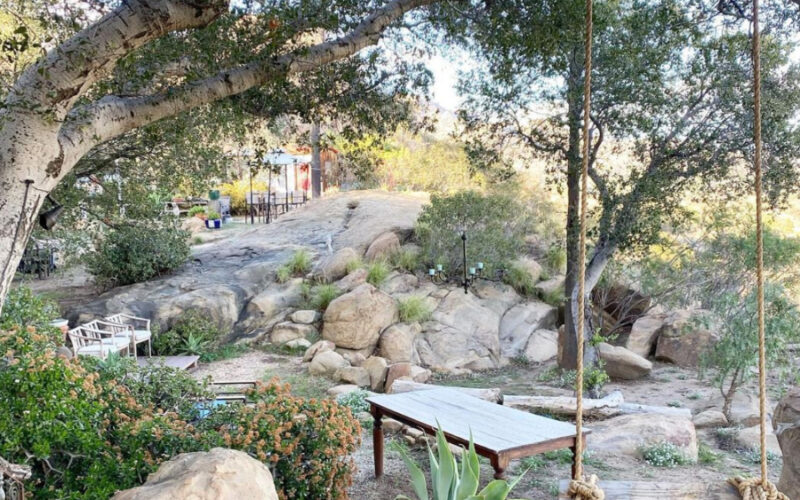 beautiful view of nature and trees and a swing in topanga canyon. if you're wondering how to celebrate earth day in la this photo sums it up