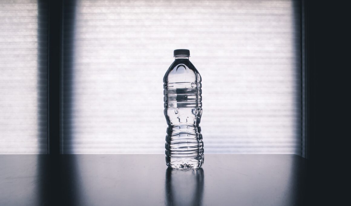 plain plastic disposable water bottle